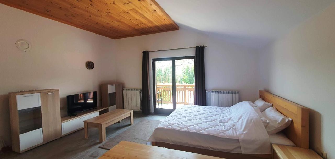 Apartmani Aleksandra Kolašin Buitenkant foto